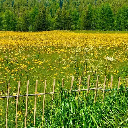 Appartamento Laroo Ried im Oberinntal