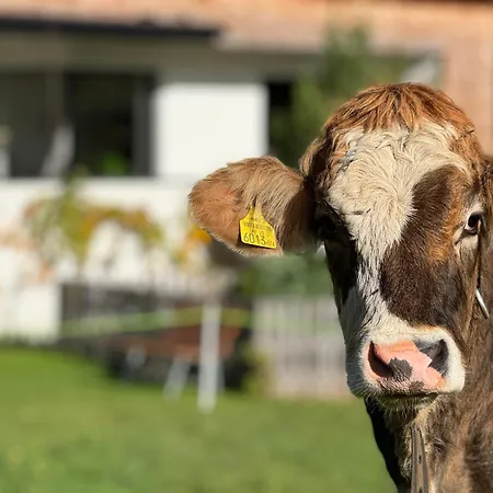 Apartmán Laroo Ried im Oberinntal