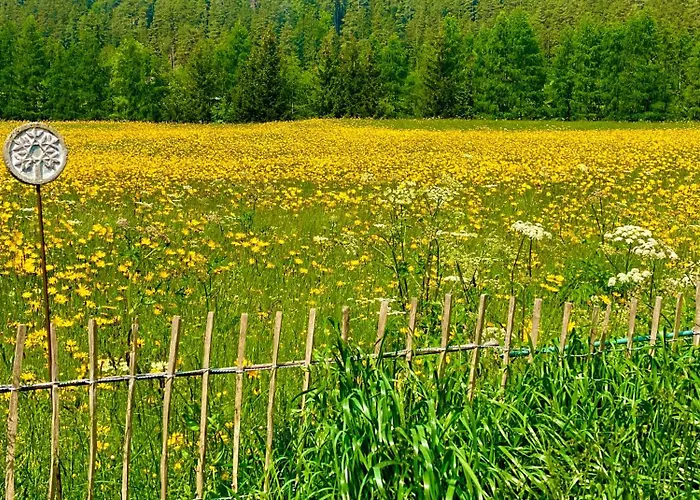 Apartmán Laroo Ried im Oberinntal